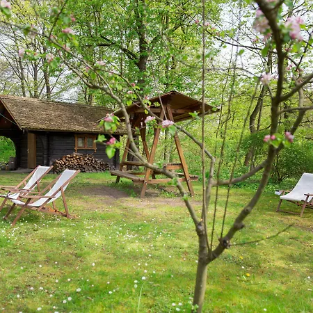 Turmvilla 3* バート・ムスカウ