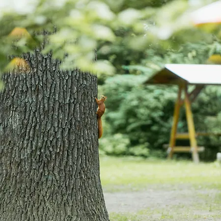 ホテル Turmvilla バート・ムスカウ