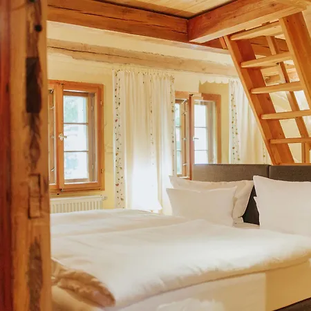 Turmvilla 3* バート・ムスカウ