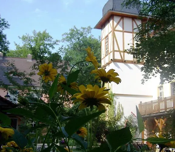 酒店 Turmvilla 巴德马斯考